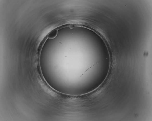 X0000112031075200908031430
