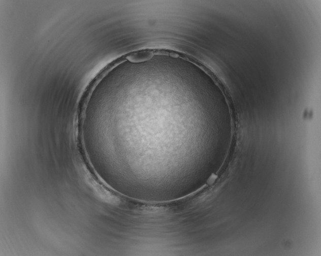 X0000112031076200908031430