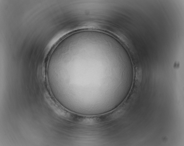 X0000112031078200908031430