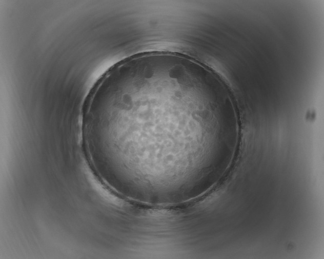 X0000112031079200908031430