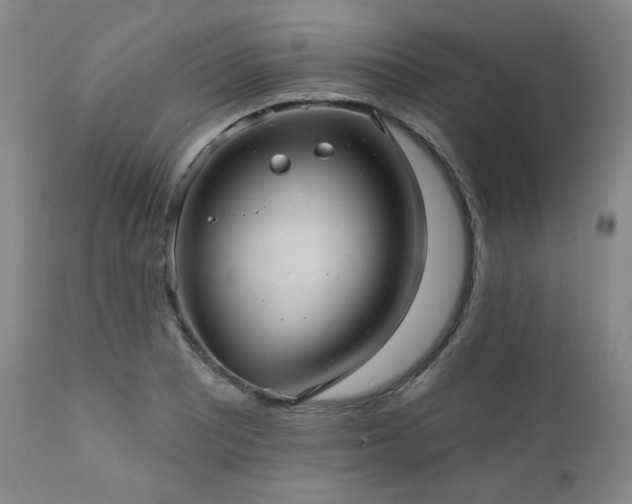 X0000112031081200908031430