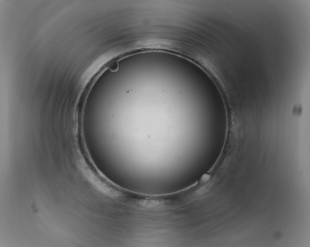 X0000112031082200908031430