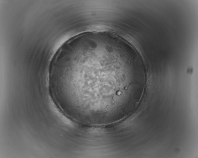 X0000112031083200908031430