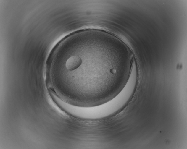 X0000112031084200908031430