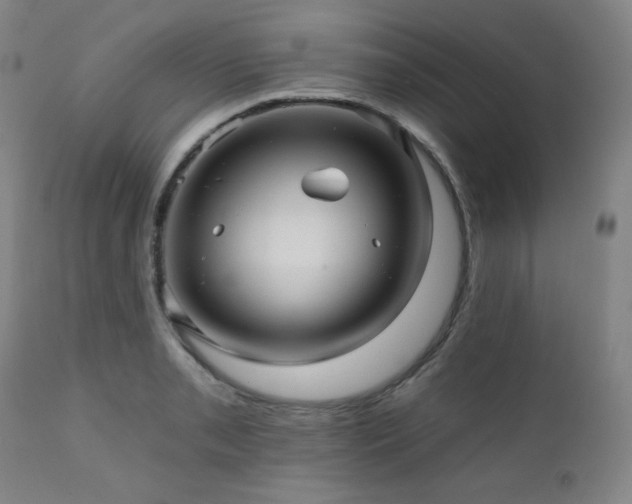 X0000112031085200908031430