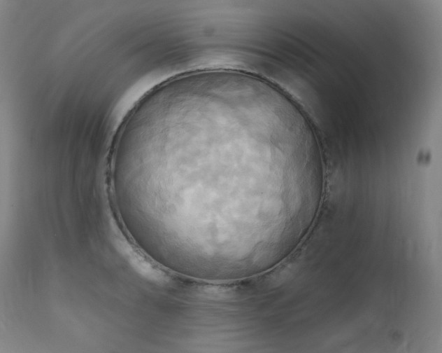 X0000112031086200908031430