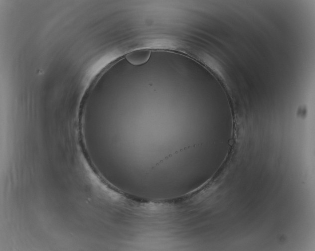 X0000112031087200908031430