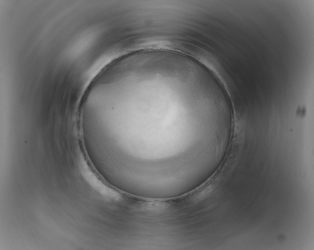 X0000112031090200908031430