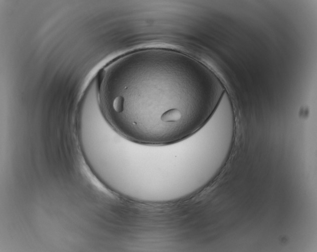 X0000112031092200908031430