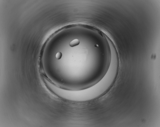 X0000112031093200908031430