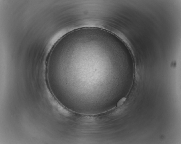 X0000112031096200908031430