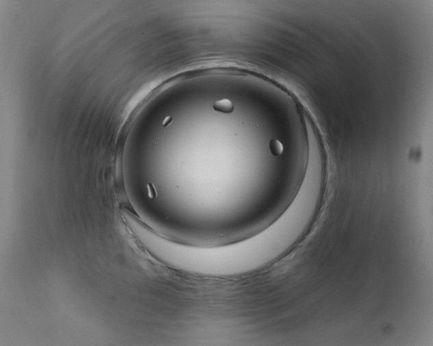 X0000112031097200908031430