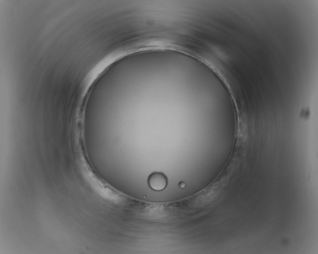 X0000112031098200908031430