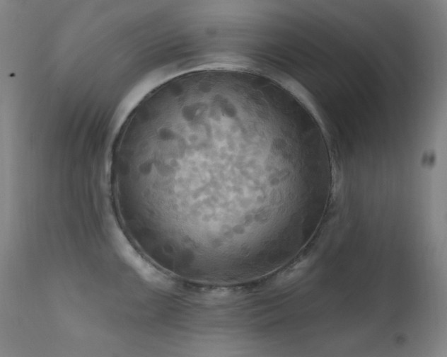 X0000112031099200908031430
