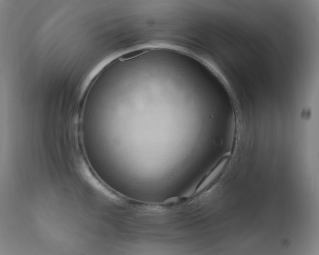 X0000112031100200908031430