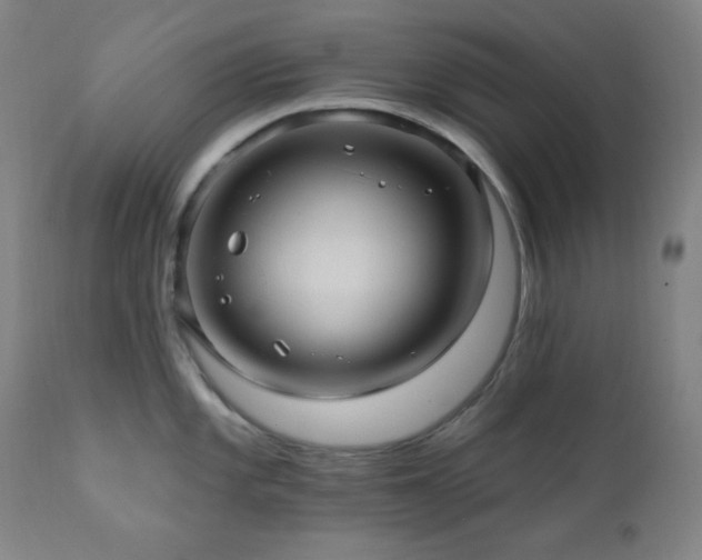 X0000112031101200908031430