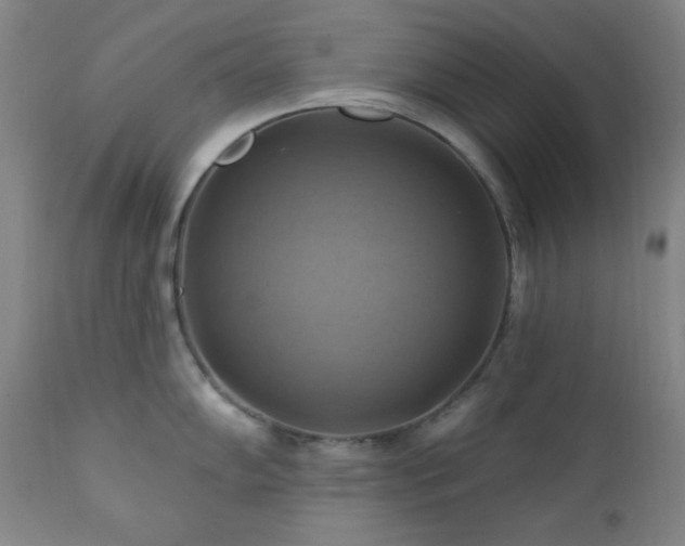 X0000112031102200908031430