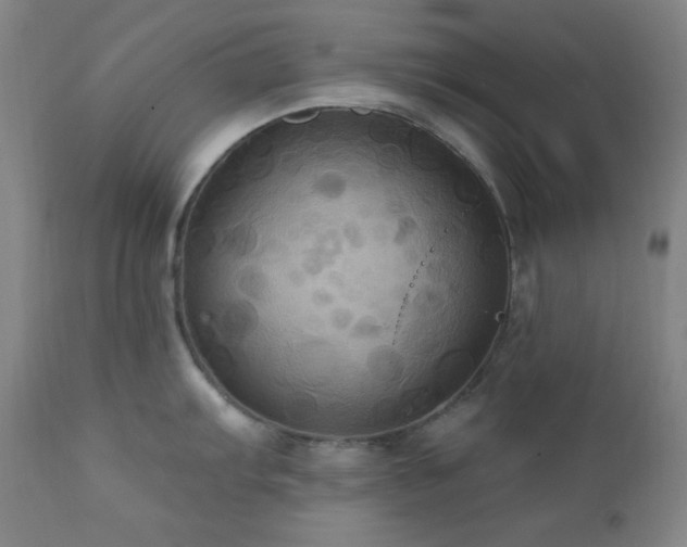 X0000112031103200908031430