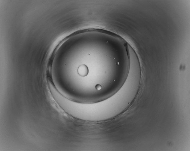 X0000112031104200908031430