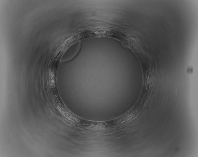 X0000112031106200908031429