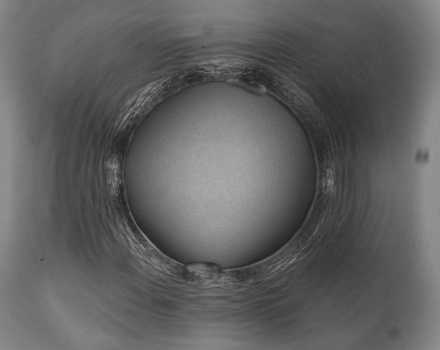 X0000112031108200908031429