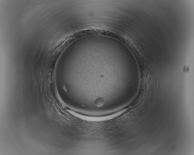 X0000112031110200908031429