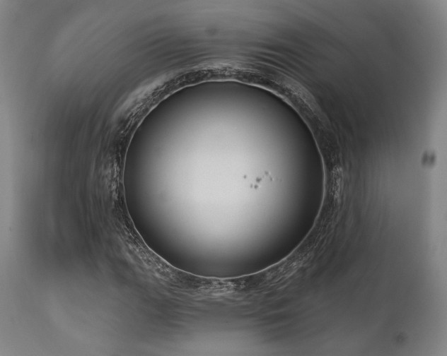 X0000112031111200908031429