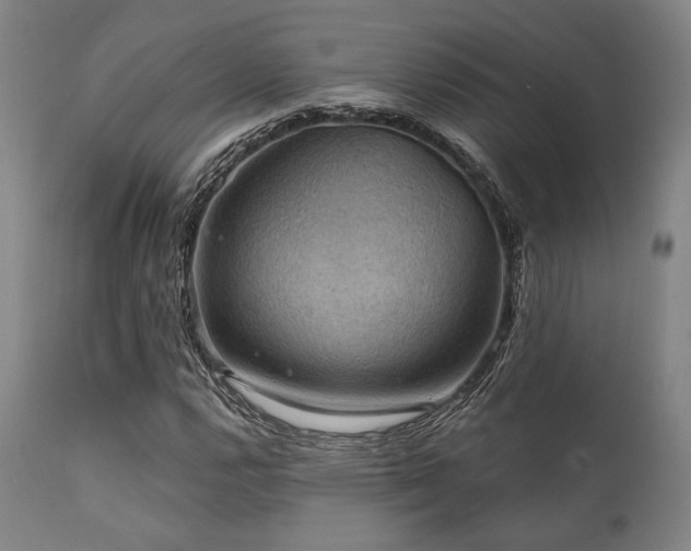 X0000112031112200908031429