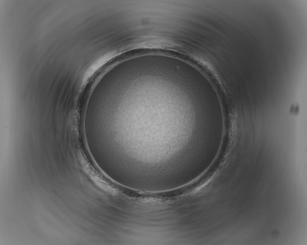 X0000112031114200908031429