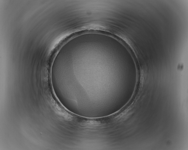 X0000112031115200908031429