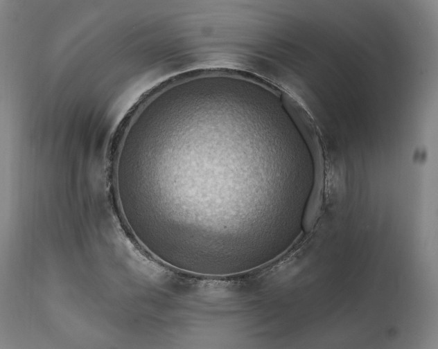 X0000112031116200908031429