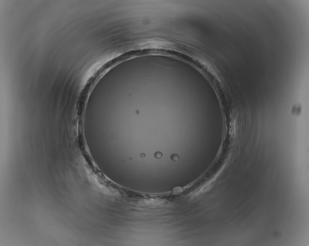 X0000112031117200908031429