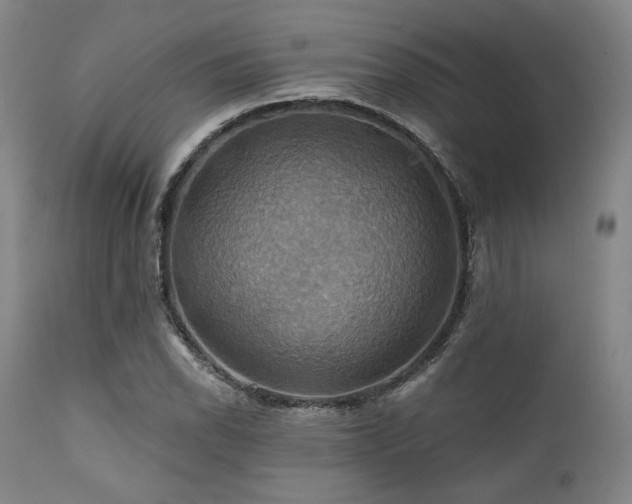 X0000112031118200908031429