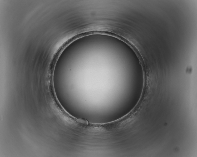 X0000112031119200908031429
