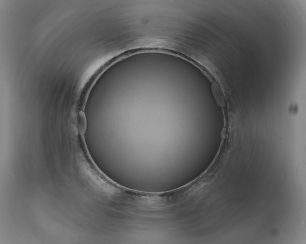X0000112031120200908031429