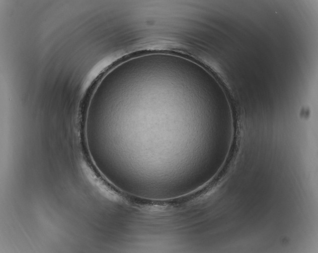X0000112031122200908031429