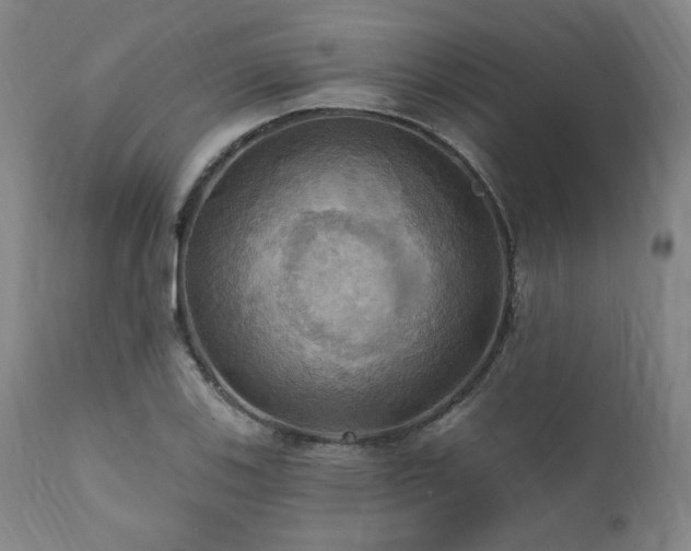 X0000112031123200908031429
