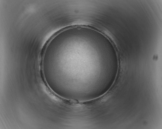 X0000112031124200908031429