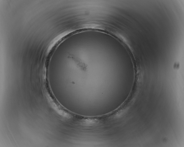 X0000112031125200908031429