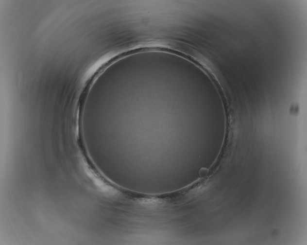 X0000112031127200908031429