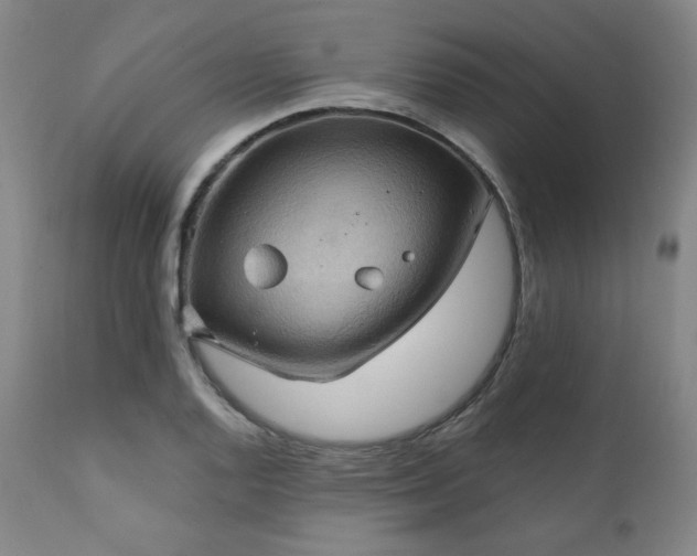 X0000112031128200908031429