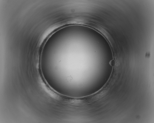 X0000112031131200908031429