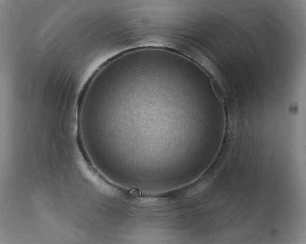 X0000112031132200908031429