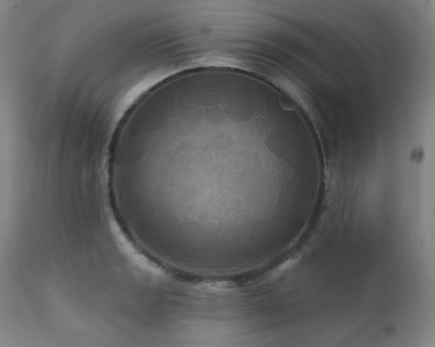 X0000112031133200908031429