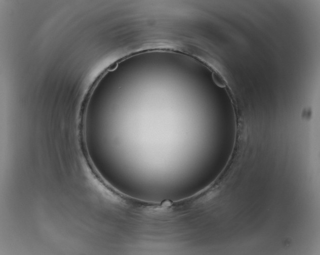 X0000112031135200908031430