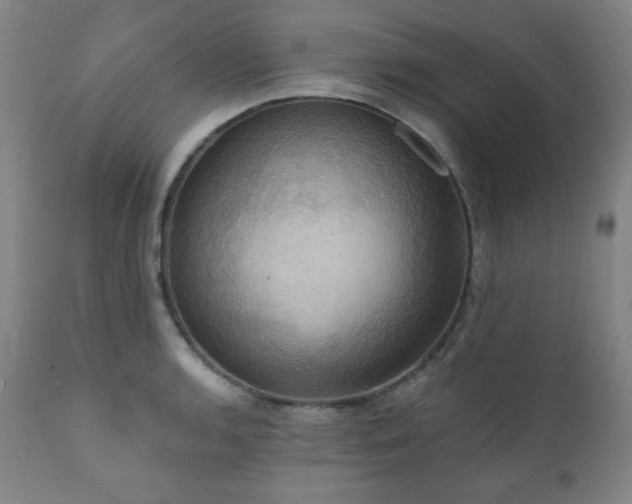 X0000112031136200908031430