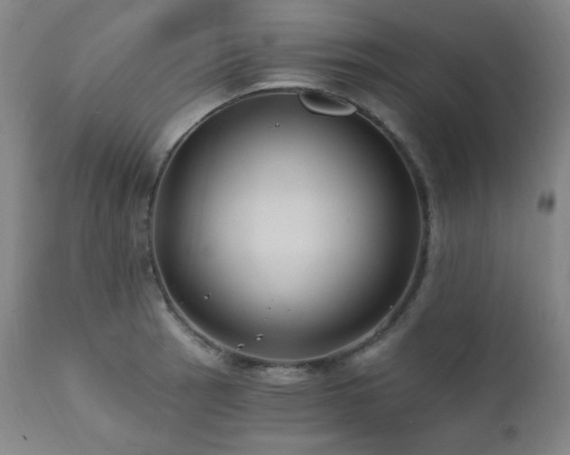 X0000112031137200908031430