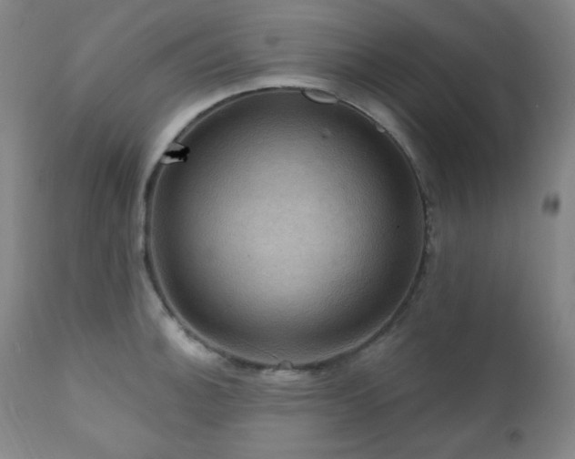 X0000112031140200908031430