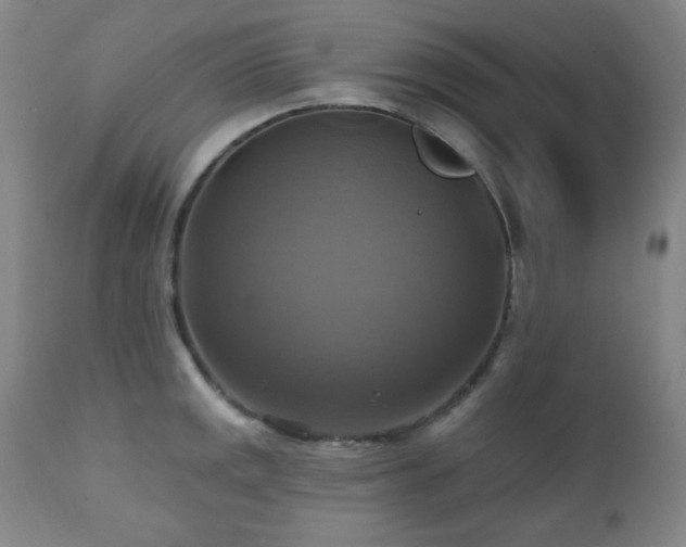 X0000112031141200908031430