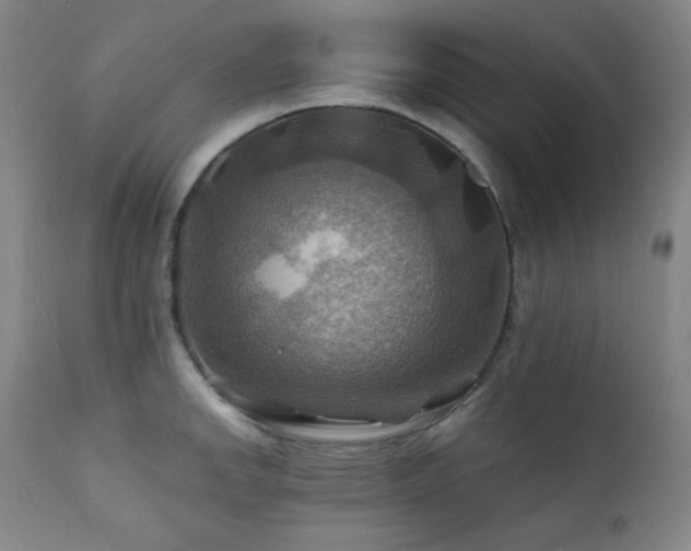 X0000112031142200908031430